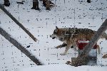 004_2009-0214-1342-16.jpg